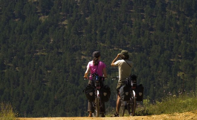 Horizontes boscosos recortada